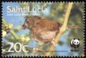 St. Lucia Black Finch (Melanospiza richardsoni)